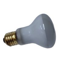 Sealed Beam Needle Light Bulb 6V